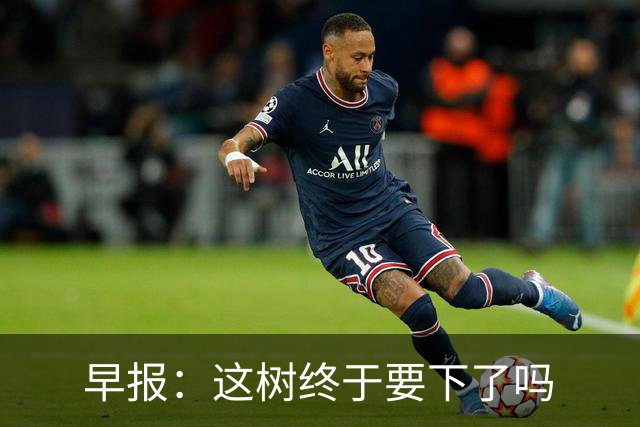 早报：这树终于要下了吗