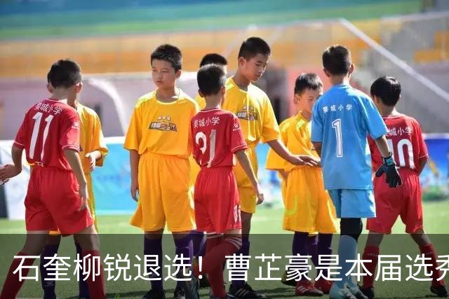 石奎柳锐退选！曹芷豪是本届选秀大会状元最大热门？